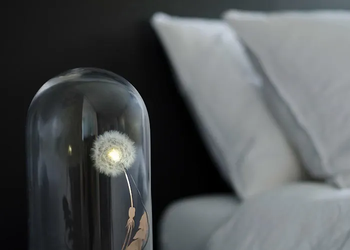 Kazerne - Member Of Design