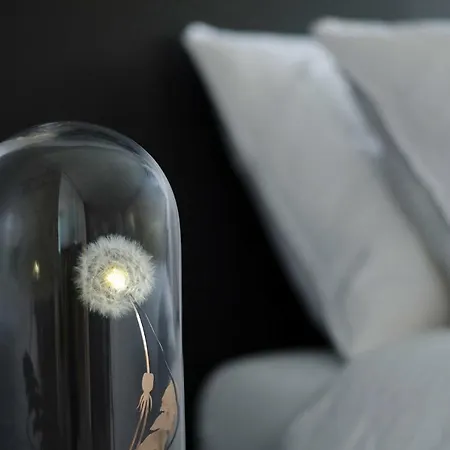 Kazerne - Member Of Design